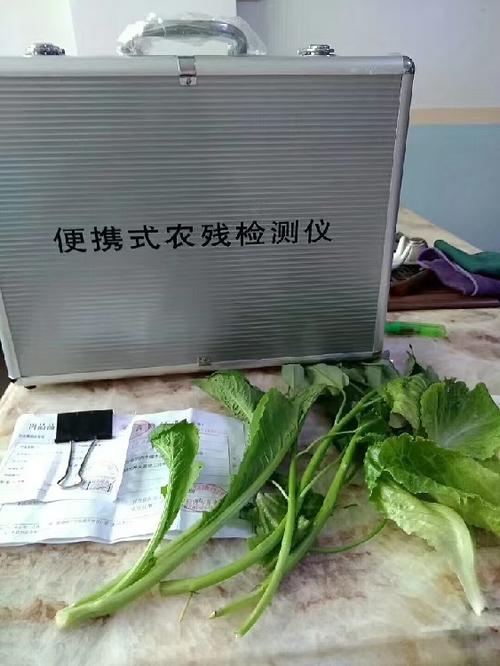 深圳福田工廠蔬菜批發(fā)配送生鮮批發(fā)服務——高效、新鮮、一站式供應