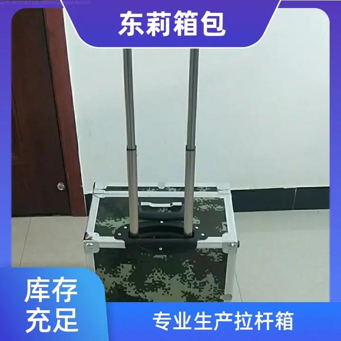 源頭工廠直供儀器拉桿箱，穩(wěn)定品質為您的設備保駕護航